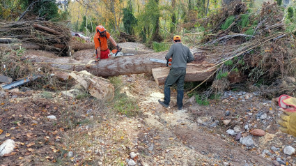 Zonas forestales de Castellón, como en Cirat, sufrieron importantes daños por las lluvias de final de 2024