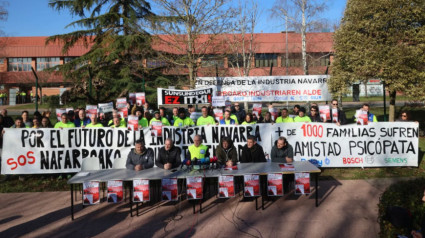 Situación de la industria navarra según FIN