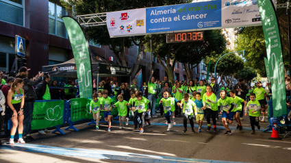 Carrera AECC