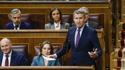 Alberto Núñez Feijóo durante el cara a cara con Sánchez en la primera sesión de control al Gobierno en el nuevo periodo de sesiones de 2025