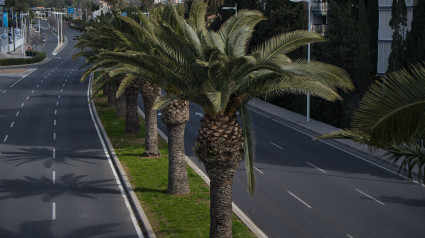 Carretera de la ciudad de Alicante, en la Comunidad Valenciana