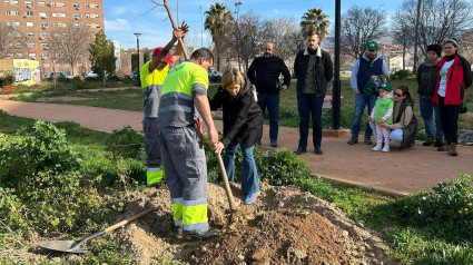 Imagen de nuevas plantaciones en un parque de Granada