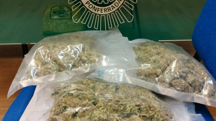 Una mujer detenida con dos bolsas de cocaína y 344 gramos de marihuana en Ponferrada (León)