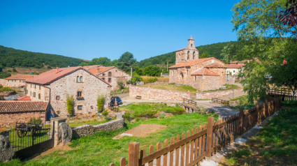 Descripción general. Salcedillo, provincia de Palencia