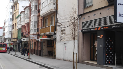 Árbol recién plantado en la Calle de la Torre de A Coruña