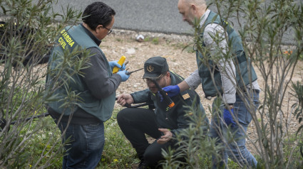 Agentes de la Guardia Civil en el lugar donde ha sido hallado muerto el exalcalde de Gandia, Arturo Torró, a 20 de febrero de 2025, en Xeresa, Valencia