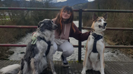 La historia de dos héroes de cuatro patas que salvaron a su familia de un incendio en una casa rural de Asturias