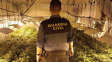 Agente de la Guardia Civil en una plantación