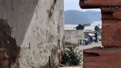 Cortijo El Uno, en San Isidro de Níjar, Almería