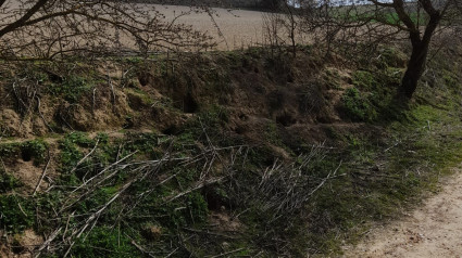 La otra amenaza del campo en Valladolid: “Hay parcelas que no se llegan a recuperar jamás”