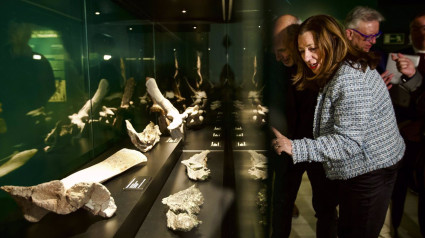 La consejera de Desarrollo Educativo y Formación Profesional de la Junta de Andalucía, Carmen Castillo, ha inaugurado la nueva exposición temporal 'Cazadores de dragones'