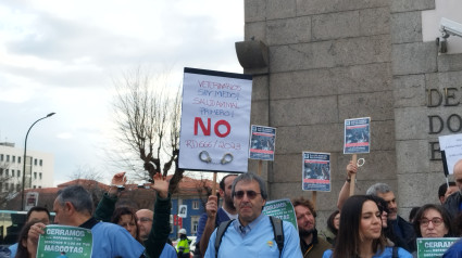 Concentración veterinaria en A Coruña