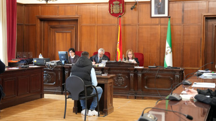 Un juicio en la Audiencia de Sevilla