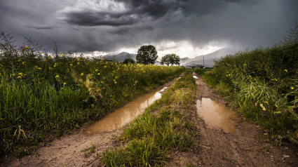 Lluvia cultivos