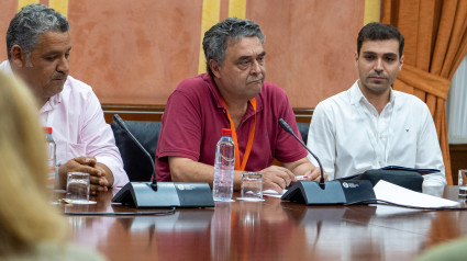 (Foto de ARCHIVO)El alcalde de Lucena del Puerto, don Manuel Mora Ruíz en su comparecencia en la comisión, a 13 de junio de 2023, en Sevilla, (Andalucía, España). Comparecencia de agentes sociales en relación con la proposición de Ley para la mejora de la ordenación de las zonas agrícolas del Condado de Huelva en la Comisión de Fomento, Articulación del Territorio y Vivienda del Parlamento andaluz. En sesión de mañana y tarde.Francisco J. Olmo / Europa Press13/6/2023