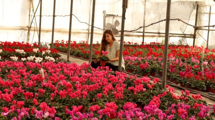 Micaella Campanini en el vivero FlorGalicia en San Sadurniño, donde trabaja