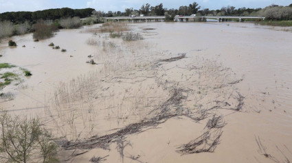 Alcaldesa dice que el cauce del Guadalete está "estabilizado" pero pide prudencia ante más lluvias.La alcaldesa de Jerez de la Frontera (Cádiz), María José García-Pelayo, ha informado de que la situación del cauce del río Guadalete lleva "50 minutos estabilizado" en 4.79 metros, una buena noticia a la que se suma el que no se esperan lluvias hasta la madrugada, pero resaltando el ser "precavidos" por si la situación cambia en las siguientes horas.POLITICA ROCÍO RUZ/EUROPA PRESS