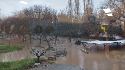 Varias naves de Gesfrío completamente inundadas por la crecida del río Henares