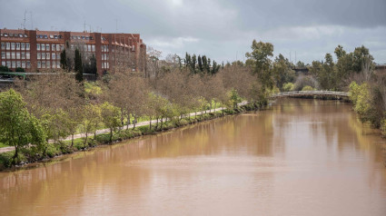 Cauce Guadianilla