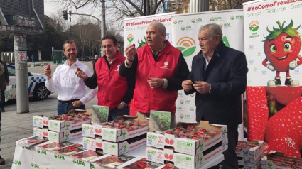 ¿Por qué han repartido fresas este miércoles en Valladolid?