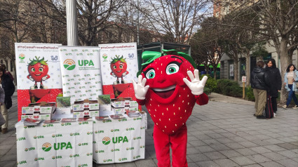 Manuel Piedra, secretario general UPA Huelva, explica cuál es el precio de las fresas