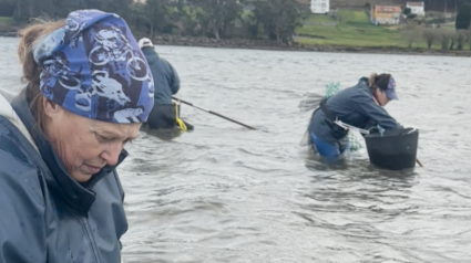 Mariscadoras de Bergantiños