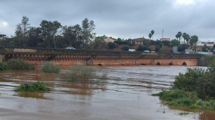 Crecida del río Tinto a su paso por Niebla.