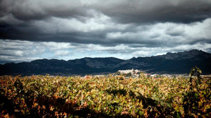 Viñedos de Casa Primicia, en Laguardia