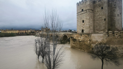 El Guadalquivir desbordado