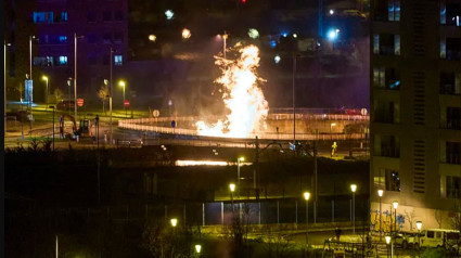 Imagen del incendio en Salburua, Vitoria