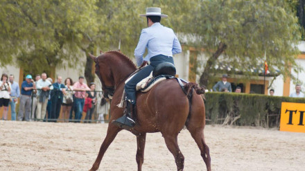 Prueba de doma vaquera