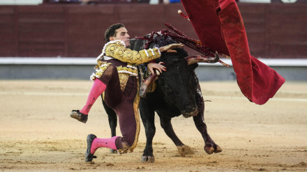 Una de las dos volteretas sufridas por Fernando Adrián el pasado sábado en Madrid