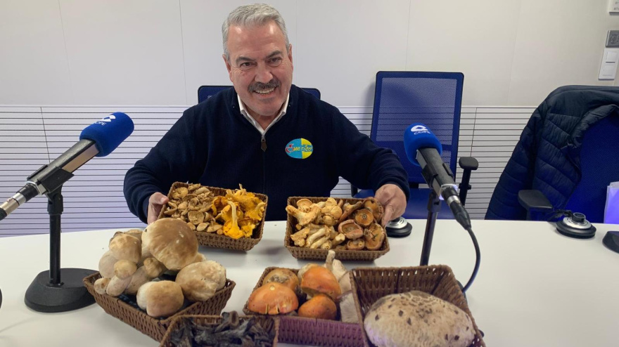 Nuestro frutero de cabecera, Luis Pacheco, nos trae las setas de temporada