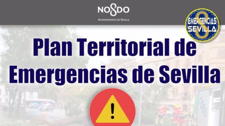 Activado en Sevilla el plan municipal en fase de preemergencia por el aviso naranja por fuertes lluvias

POLITICA ANDALUCÍA ESPAÑA EUROPA SEVILLA
EMERGENCIAS SEVILLA