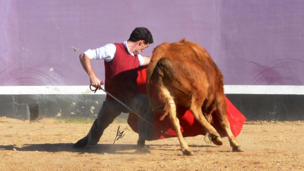 Fernando Adrián tentando en la ganadería salmantina de Pedraza de Yeltes