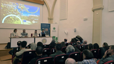 El Living Lab Andaluz analiza las principales amenazas para la salud del suelo del olivar en su I Encuentro de Cocreación