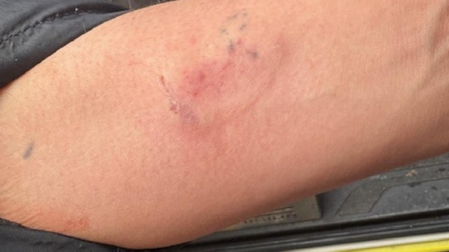 Policía Local de Palma