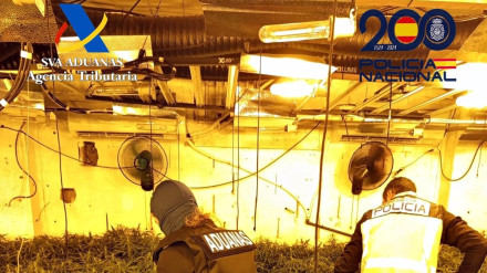 Operación de la Policía y AduanasAgentes de la Policía Nacional y Funcionarios de Vigilancia Aduanera de la Agencia Tributaria y procedieron, el pasado 4 de marzo, al desmantelamiento de un cultivo de marihuana en la barriada de Santa Lucía, perteneciente al municipio de Cartagena (Murcia), y a la identificación de dos individuos a los que se les imputan presuntos delitos contra la salud pública y de defraudación de fluido eléctrico.ESPAÑA EUROPA MURCIA SOCIEDADPOLICÍA NACIONAL