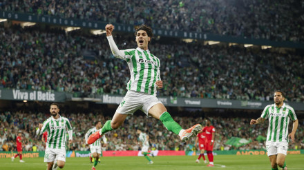 Johnny Cardoso celebra el gol en el Betis - Sevilla