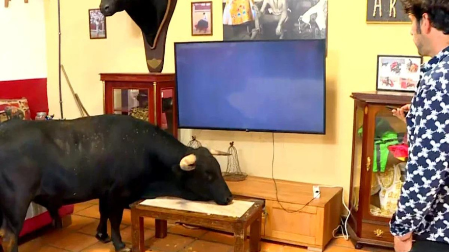 Tamariz y Chechu en el salón de casa poniendo la televisión