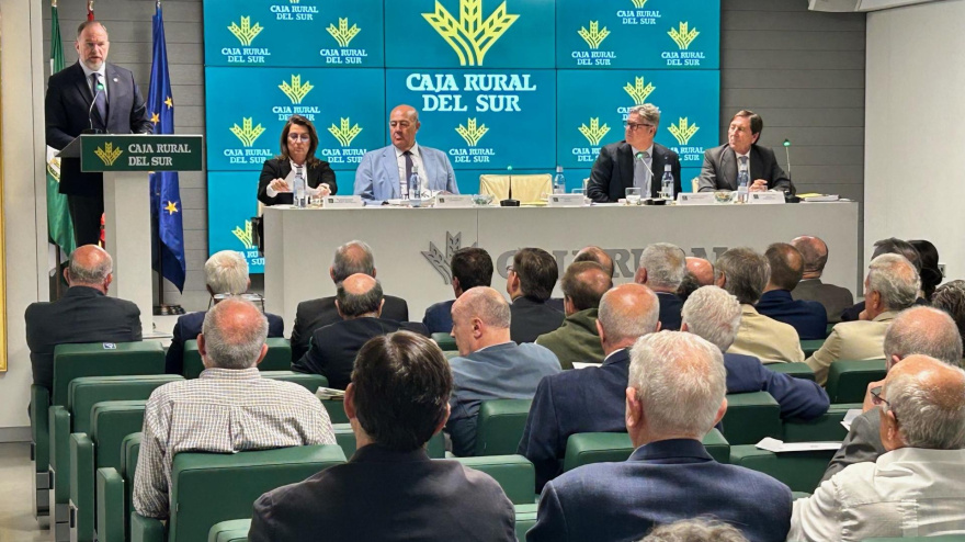 El presidente de Caja Rural del Sur en su intervención ante la Asamblea Anual de la entidad