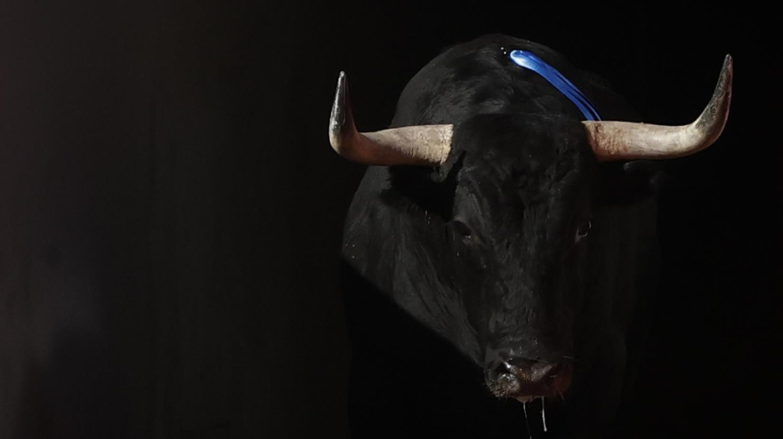 Toro saliendo por chiqueros