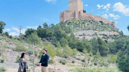 Plantación de arbustos autóctonos en las laderas del entorno del castillo de Lorca