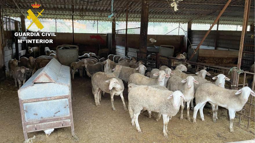 Operación Garruchal