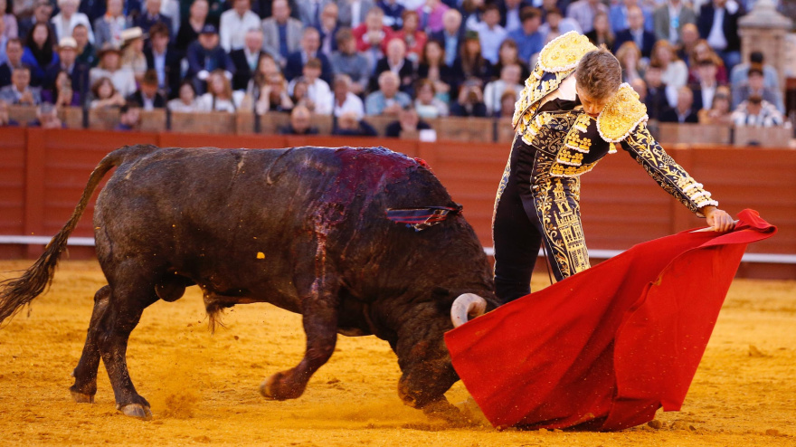 Sevilla, sábado 3 de mayo de 2025. Dos orejas para Escribano ante un 'victorino' de vuelta