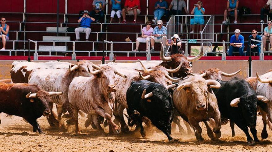 El turismo taurino, motor económico en Andalucía