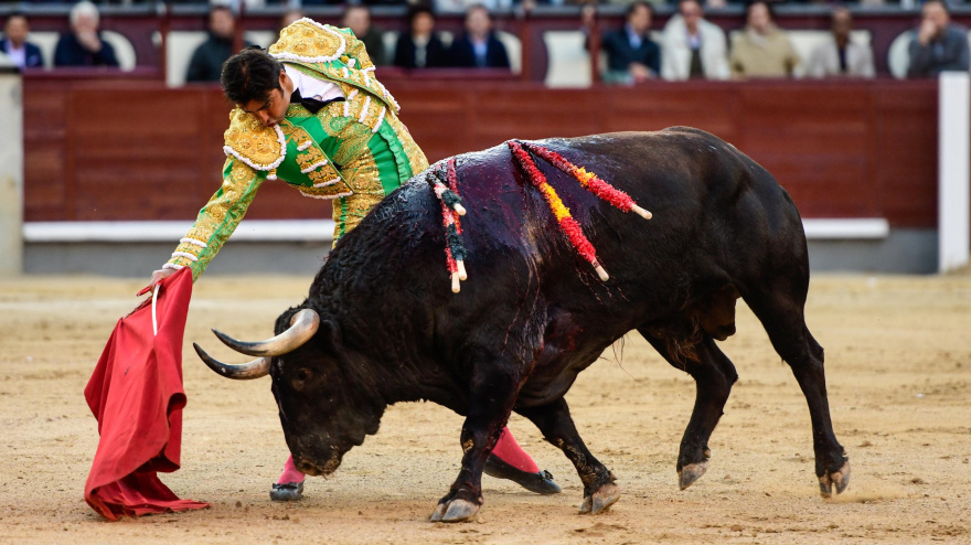 Madrid, domingo 11 de mayo de 2025. Perera pincha una gran faena a un buen 'fuenteymbro'