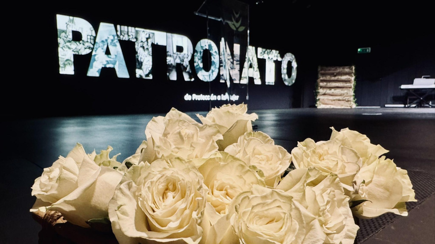 Patronato de Protección a la mujer