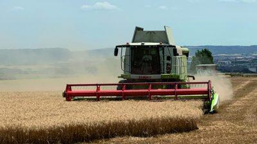 Cosechadora en plena campaña