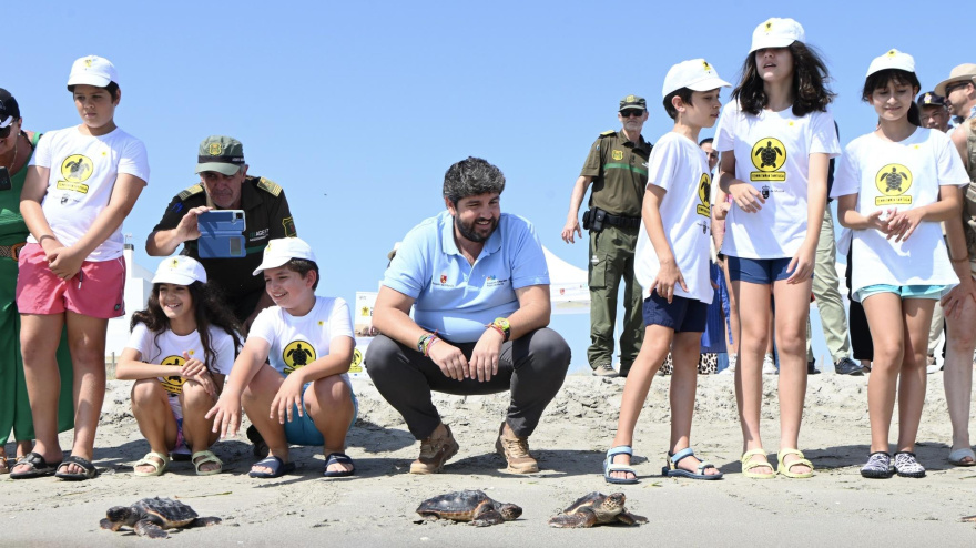 Liberadas treinta tortugas marinas